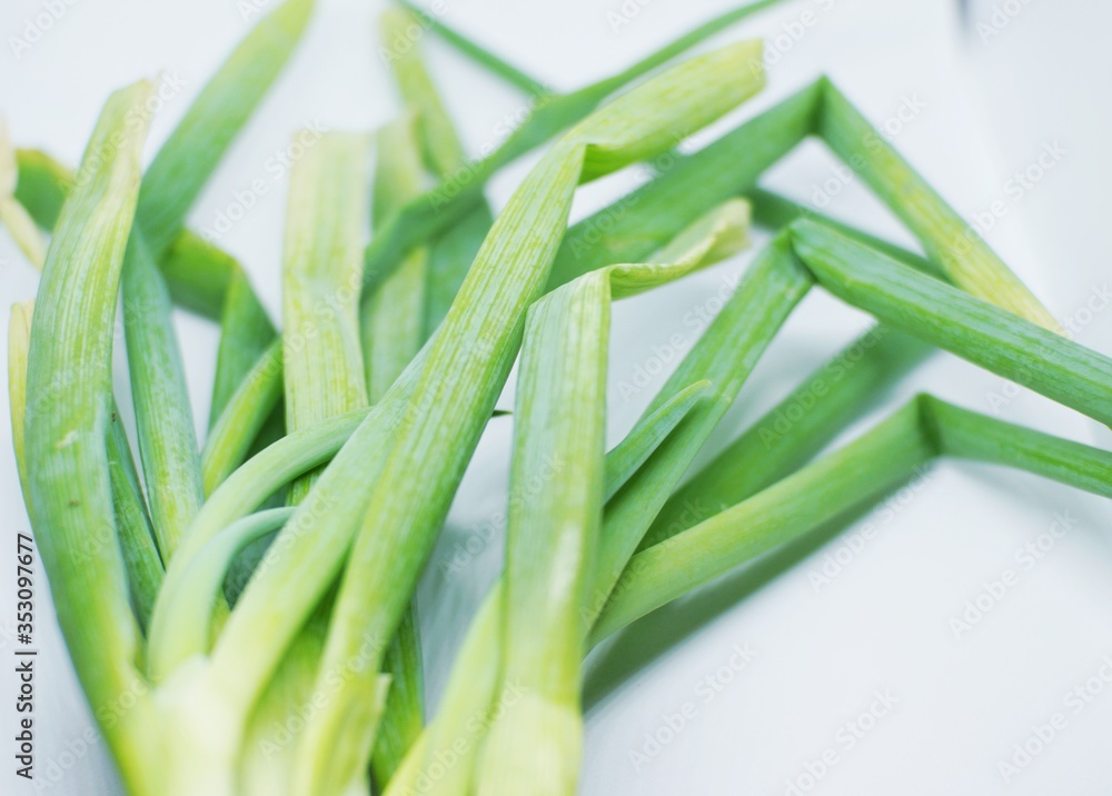 close up of green onion with white background. close up of green onion with white background.