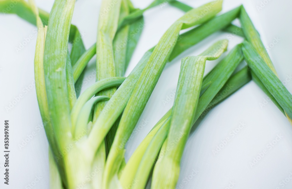 close up of green onion with white background. close up of green onion with white background.