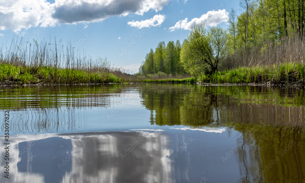 Fototapeta premium spring landscape with a beautiful calm river, green trees and grass on the river bank, peaceful reflection in the river water