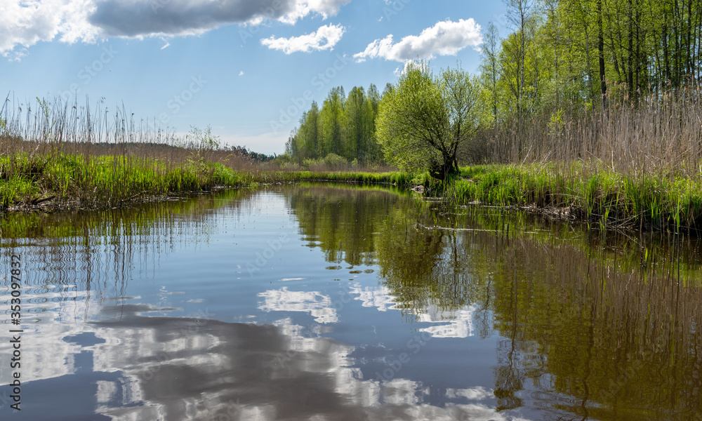Fototapeta premium spring landscape with a beautiful calm river, green trees and grass on the river bank, peaceful reflection in the river water