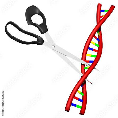 CRISPR Genschere Crisper