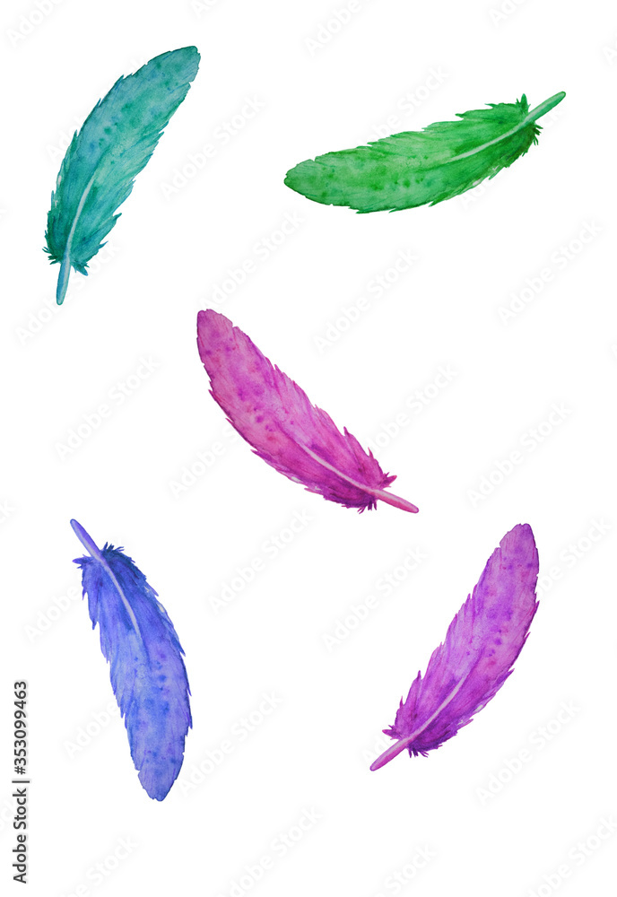 Fototapeta premium set of colorful feathers isolated on white background