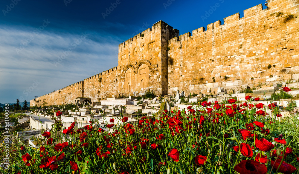 Fototapeta premium Poppy flowers in front of the sealed Golden Gate/Mercy Gate of the Old City, Jerusalem