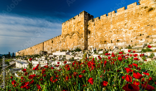 Poppy flowers in front of the sealed Golden Gate/Mercy Gate of the Old City, Jerusalem photo