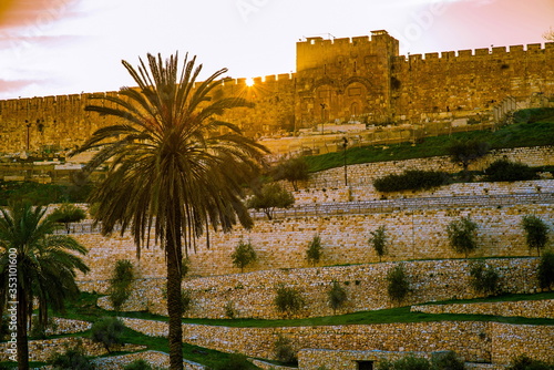 The sealed Golden Gate of Jerusalem, also called Mercy Gate, where Jesus entered Jerusalem, with palm tree in the foreground