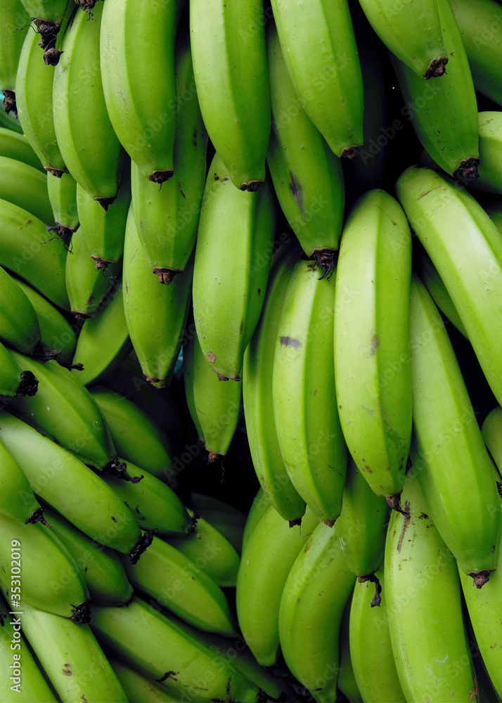 Bunch of green harvested bananas