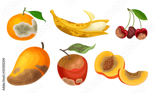 Garden Fruits with Skin Covered with Stinky Rot Vector Set