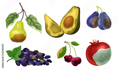 Garden Fruits with Skin Covered with Stinky Rot Vector Set