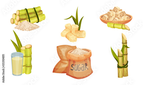 Sugar Cane Unbranched Stems with Leaves and Superfood like Brown Granulated Sugar Vector Set