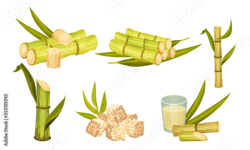 Sugar Cane Unbranched Stems with Leaves and Superfood like Brown Granulated Sugar Vector Set