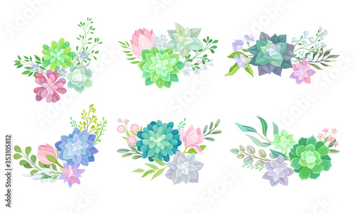 Floral Arrangements with Succulent Echeveria and Branches Vector Set