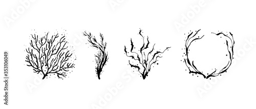 Hand drawn black contour seaweed. Outline, cartoon, tattoo design with dots.