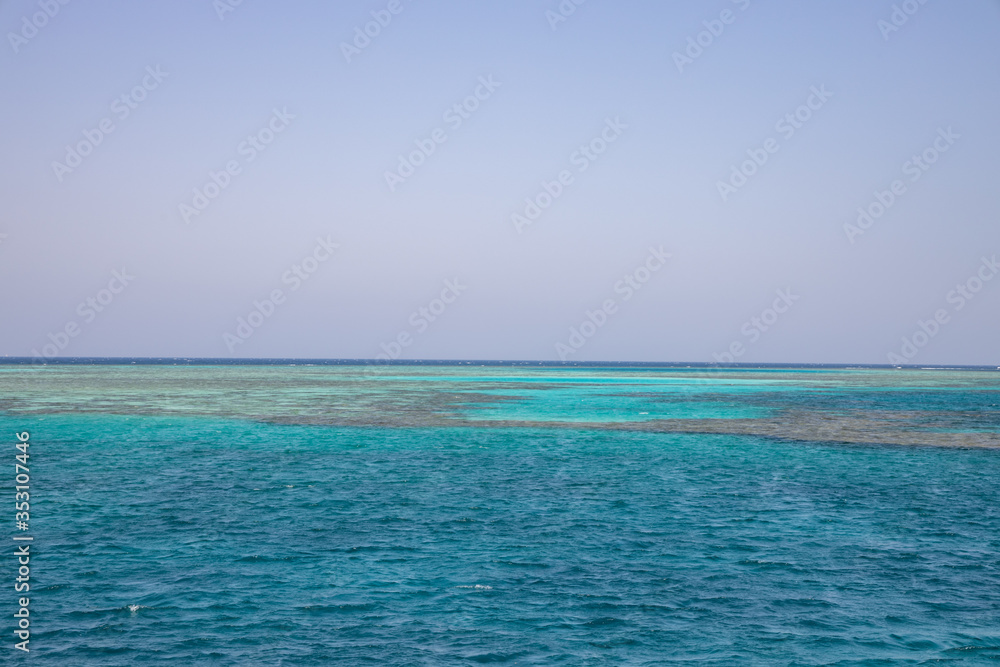 Multicolored corrals. Corral reefs over water in Jaz 'ir Jift n, egypt