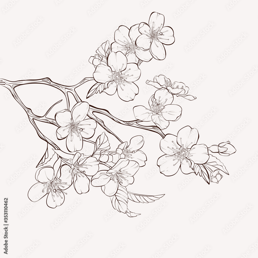 Sketch of a floral tree stock vector. Illustration of flower - 20843255
