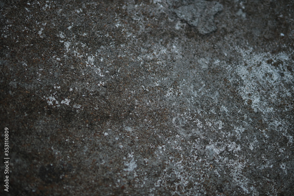 Obraz premium White old cement wall concrete backgrounds textured. Abstract vintage texture. Background from cracks, breaks, stains. Grunge cracks, damage