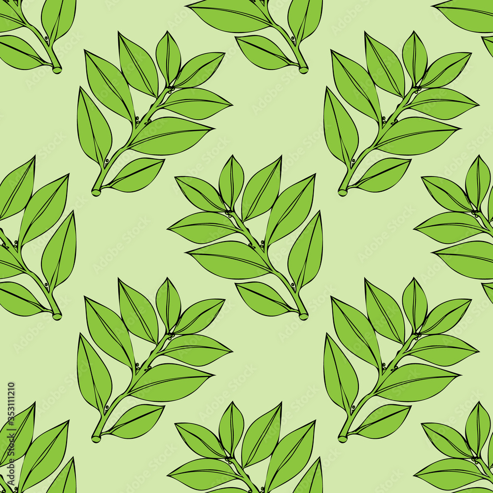Seamless pattern Tree laurel .Image on a white and colored background.