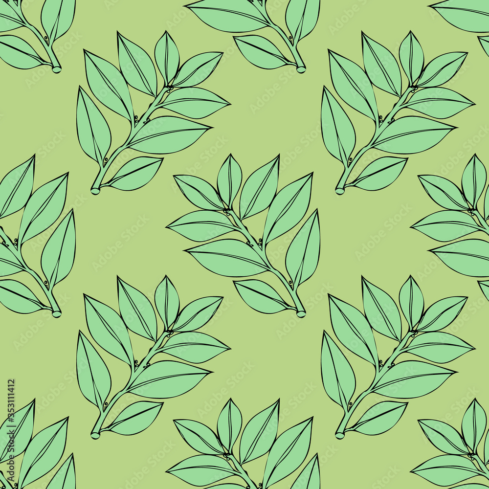 Seamless pattern Tree laurel .Image on a white and colored background. Seamless pattern Tree laurel .Image on a white and colored background.