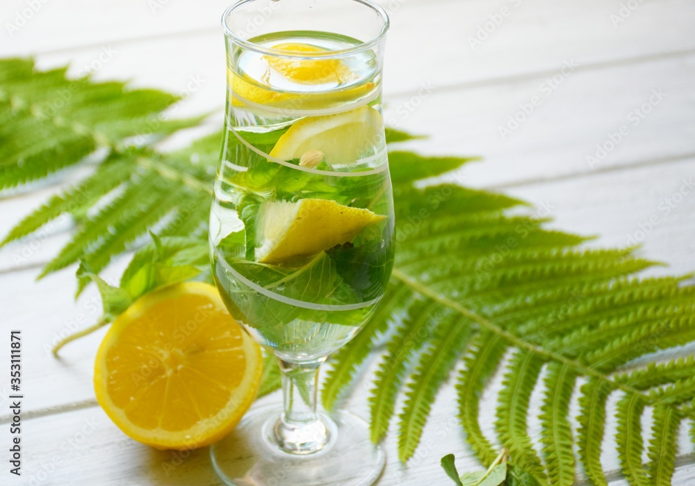 Fototapeta premium Summer refreshing lemon drink with peppermint