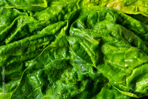 raw green spinach texture. close up