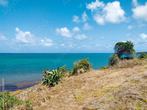 Caribbean sea under tropical blue sky and coastal vegetation. Authentic and relaxed Caribbean landscape.