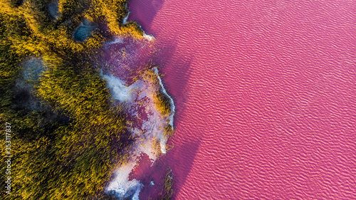 Pink lake with salt water at sunset in Ukraine