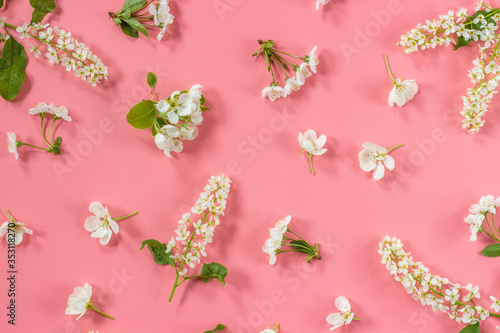 Apple and cherry tree flowers in a flat layout on a pink background. Spring blossom composition. Top view, flat lay.
