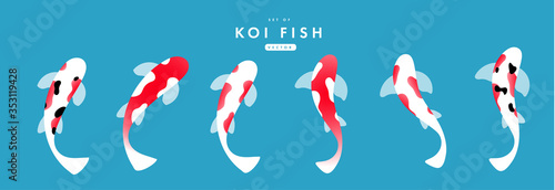 Set of koi carps. vector flat illustration.