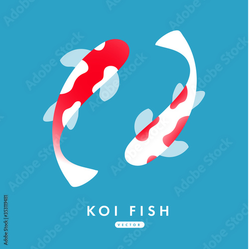 Yin Yang Koi fishes flat style. symbolize luck, fortune, or love. in blue background. vector illustration