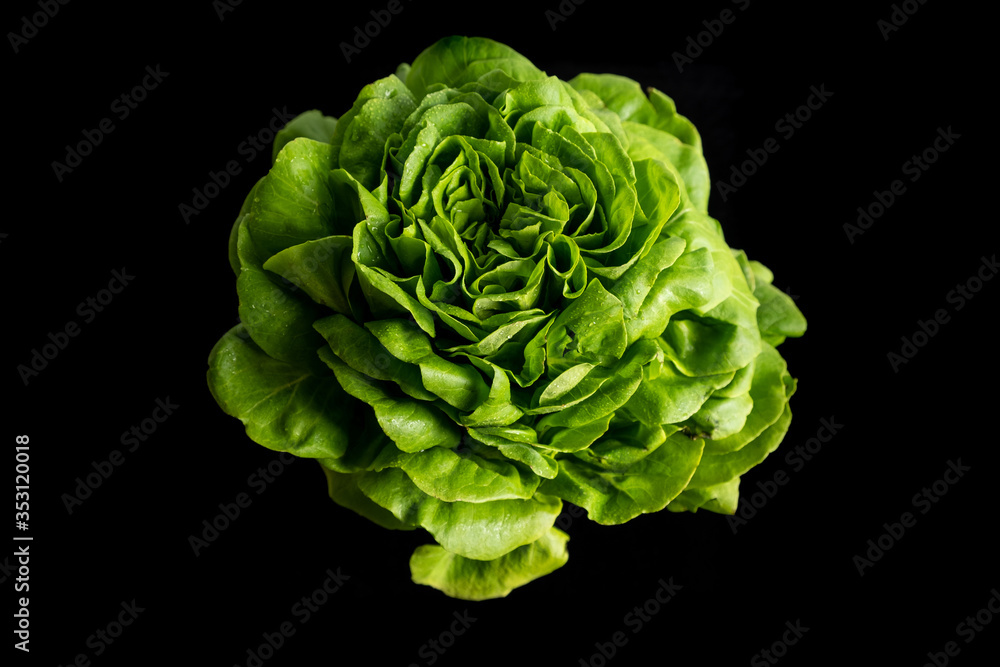 Fototapeta premium Top view of detail of trocadero lettuce on wooden background