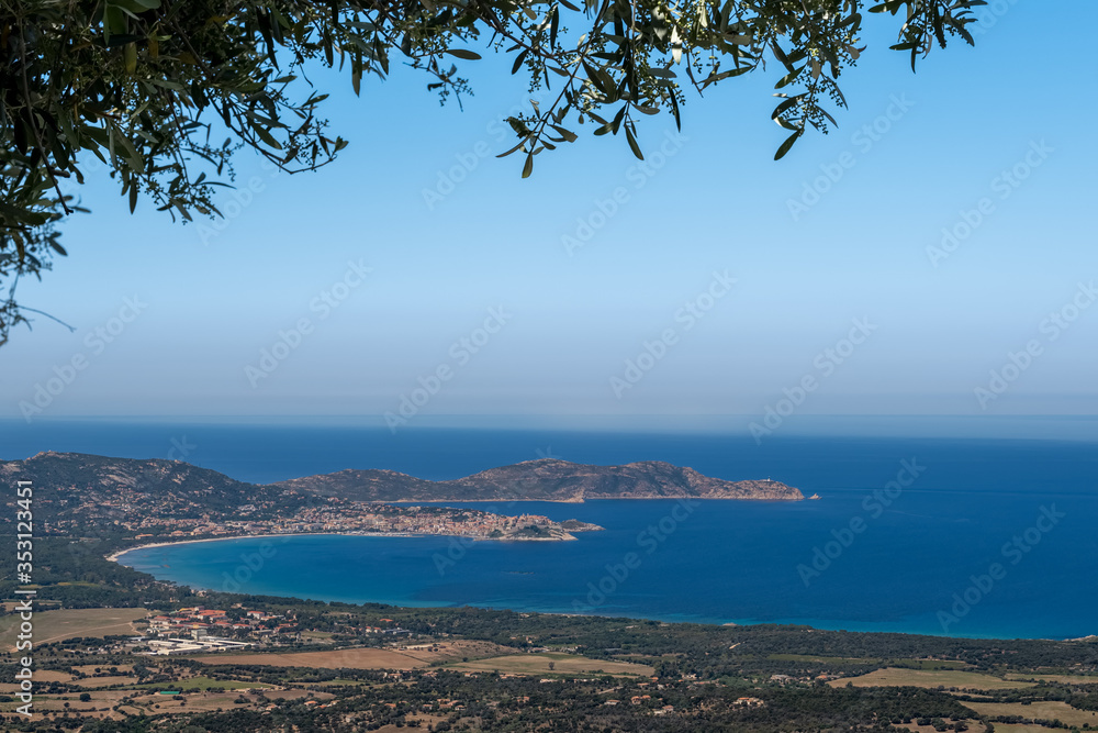 Citadel and bay of Calvi in Corsica