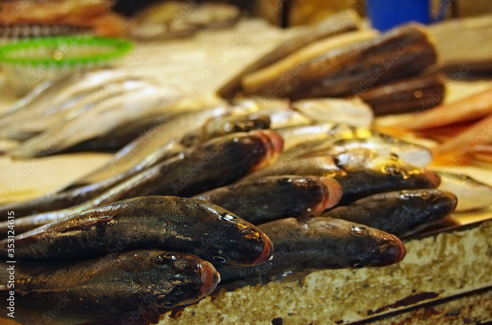 custom made wallpaper toronto digitalFresh fish at a market booth in a bazaar in Beirut, Lebanon