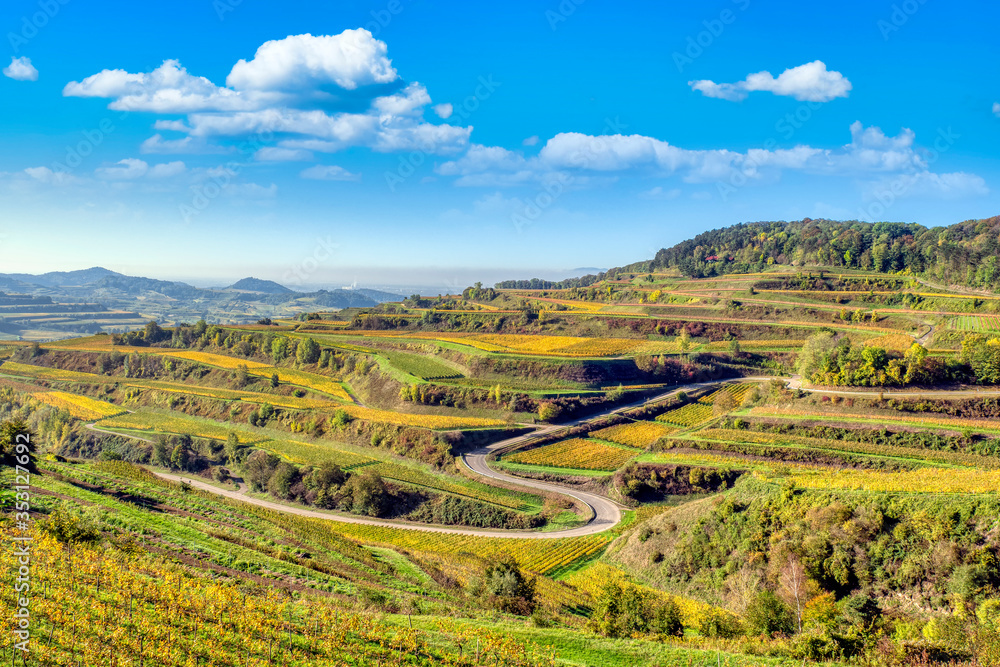 Curved road in terraced vineyards Kaiserstuhl landscape