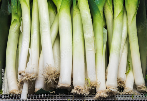 Banner of fresh leeks on the counter in the supermarket, market, greengrocery.