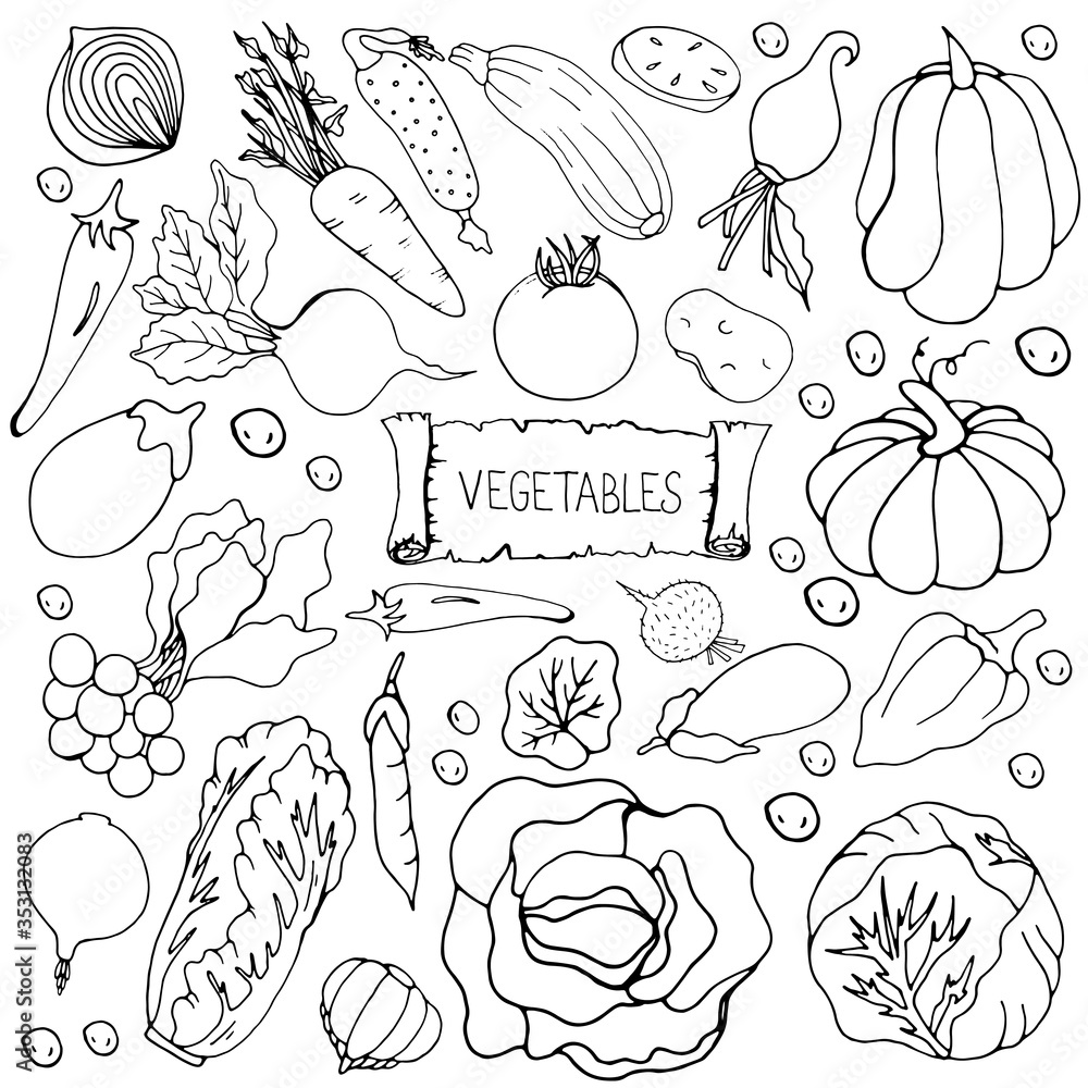 Set with vegetables. Vector isolated illustration with tomato, cucumber, beetroot, zucchini, cabbage, pumpkins, eggplant, onion, carrot, potato, radish, peas on a white background. Doodle style.
