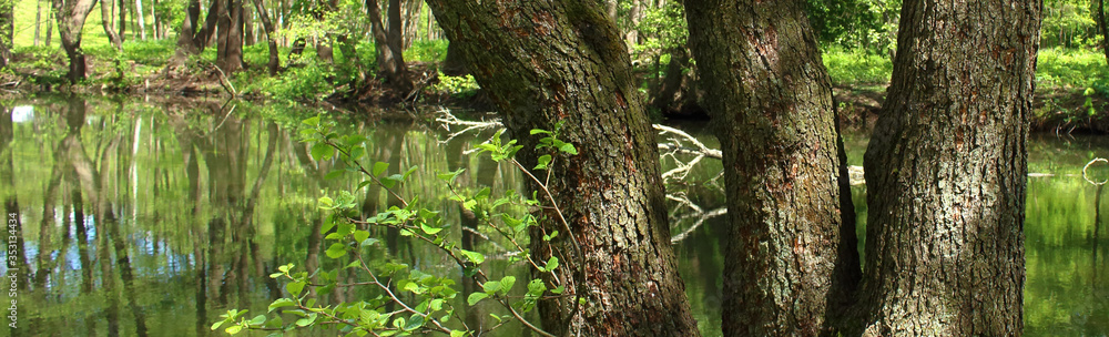 landscape of the wild nature. On the bank of the small river bushes and trees grow, the trunk of one tree lies cut by a beaver. landscape of the wild nature. On the bank of the small river bushes and trees grow, the trunk of one tree lies cut by a beaver.