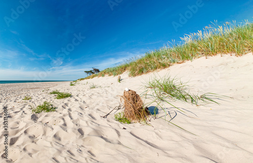 Sand dunes with a bird's nest on the Baltic Sea in Mecklenburg Western Pomerania (Germany) photo