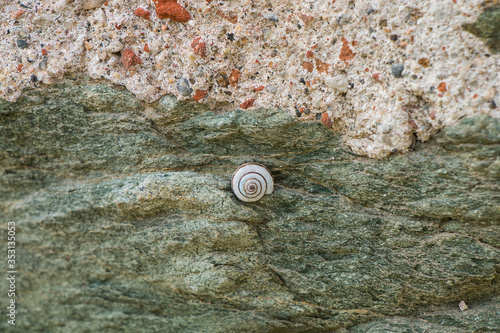 part of a stone wall, for background or texture