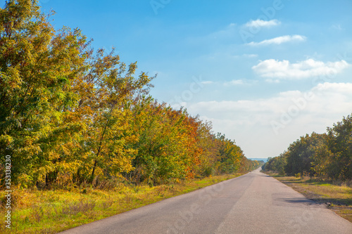 driving at asphalt road in the autumn