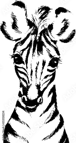 Photography Hand drawn wild animal
