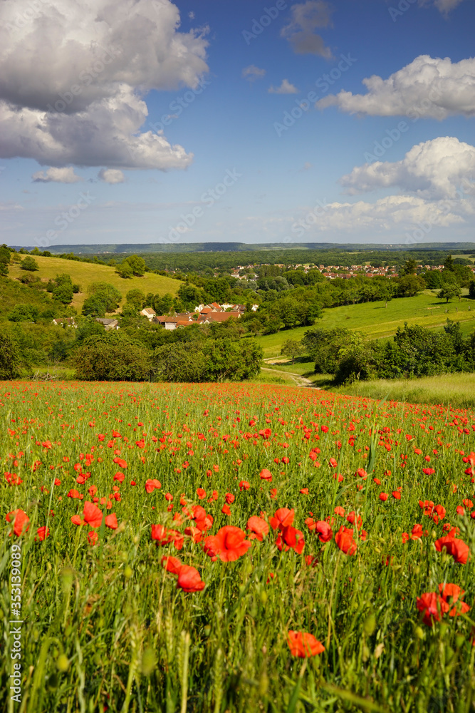 Paysage Campagne 654