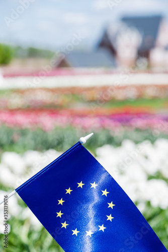 selective focus of flag of Europe near colorful tulips field