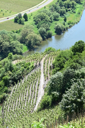 Steillagenweinbau an der Mittelmosel photo