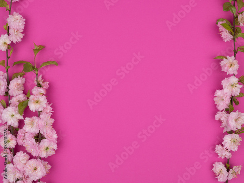 Frame of flowering branches of almonds on a pink background.