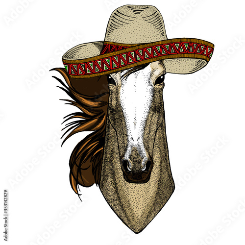 Horse, steed, courser. Sombrero mexican hat. Portrait of wild animal.