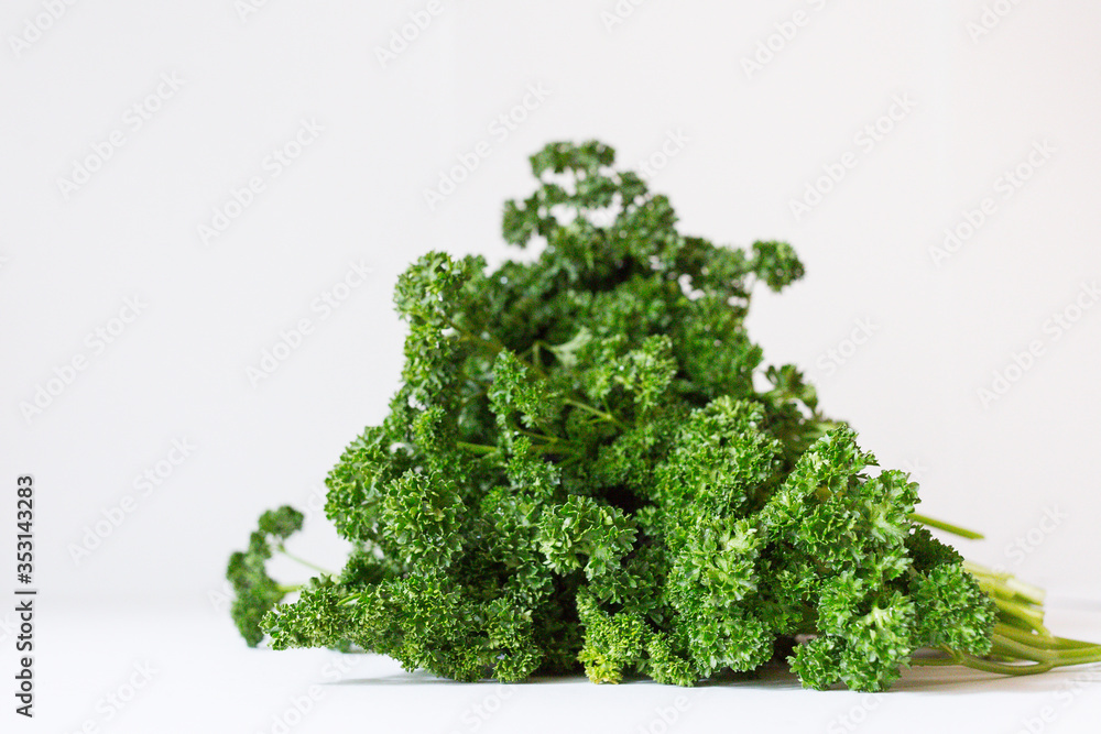 A bunch of fresh curly parsley on the white background. Seasoning greens on the table. Healthy vegetarian food. An ingredient for salad. A bunch of fresh curly parsley on the white background. Seasoning greens on the table. Healthy vegetarian food. An ingredient for salad.