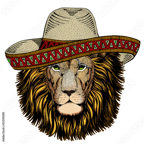 Lion head. Wild animal portrait. Sombrero mexican hat. Face of african cat.