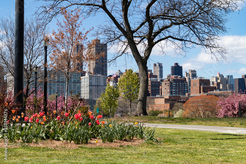 Photography Colorful Flowers during Spring at Rainey Park in Astoria Queens New York with a