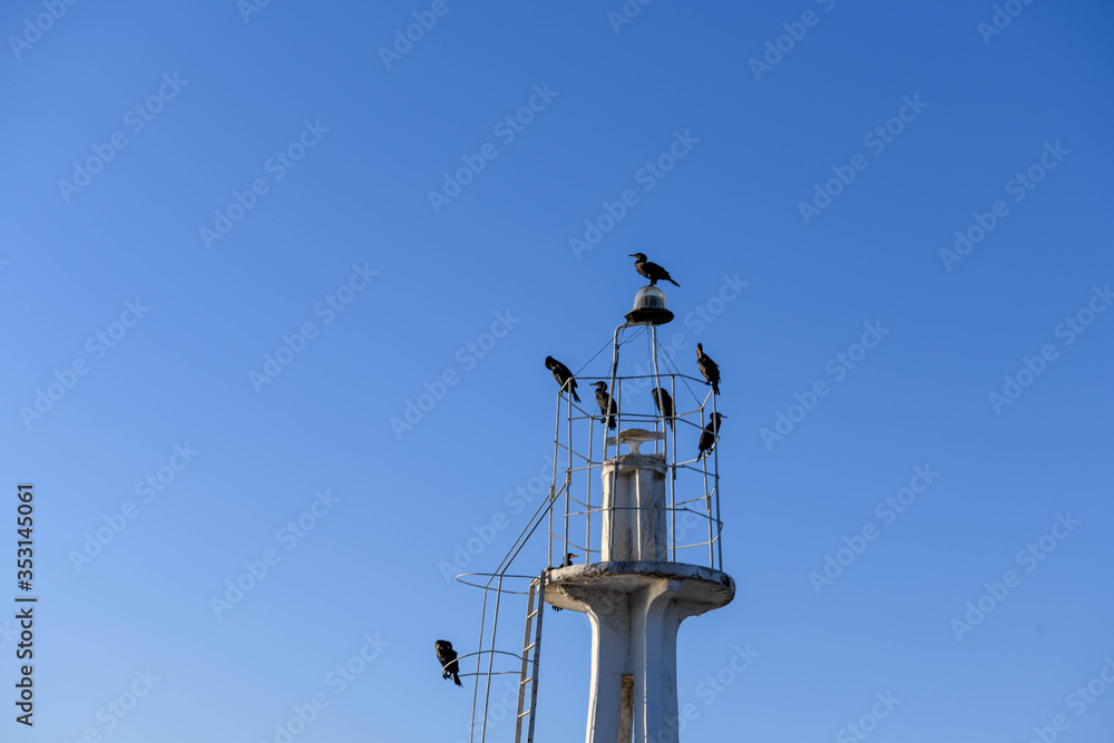 A bird is perched on a pole illuminated by the setting sun.