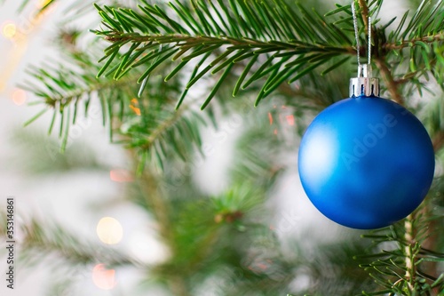 Green fir tree branche with blue trend christmas ball, holiday background, happy new year and christmas concept