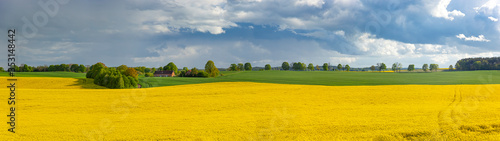 Fototapeta Naklejka Na Ścianę i Meble -  Rzepak - żółte kwiaty rzepaku - krajobraz rolniczy, Polska, Warmia i mazury